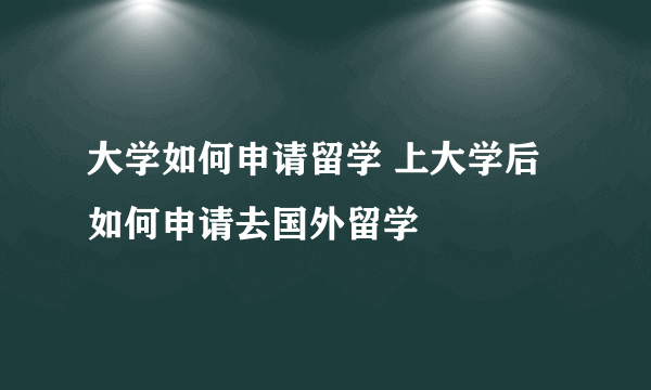 大学如何申请留学 上大学后如何申请去国外留学