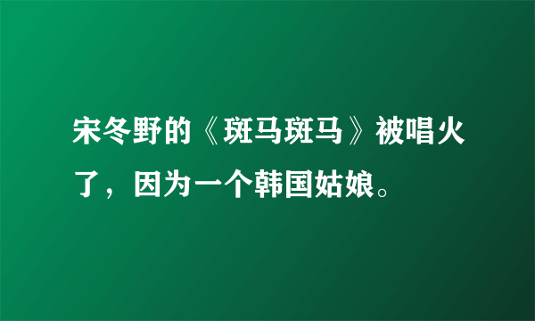 宋冬野的《斑马斑马》被唱火了，因为一个韩国姑娘。