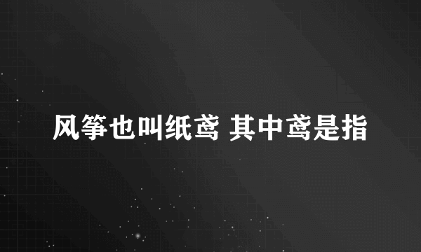 风筝也叫纸鸢 其中鸢是指