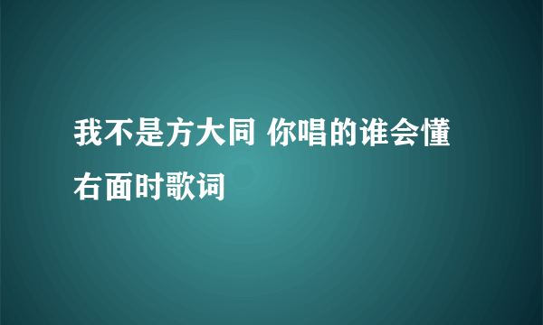 我不是方大同 你唱的谁会懂 右面时歌词