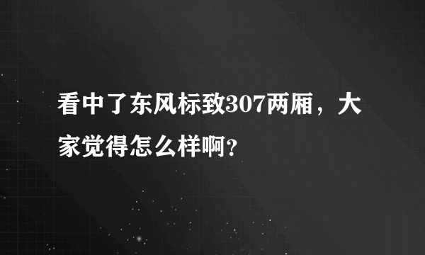 看中了东风标致307两厢，大家觉得怎么样啊？