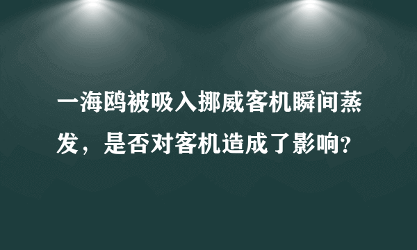 一海鸥被吸入挪威客机瞬间蒸发，是否对客机造成了影响？