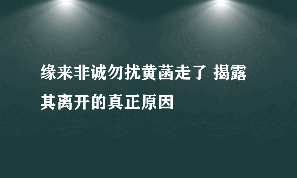 缘来非诚勿扰黄菡走了 揭露其离开的真正原因