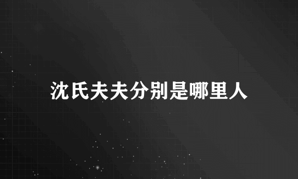 沈氏夫夫分别是哪里人