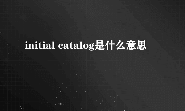 initial catalog是什么意思