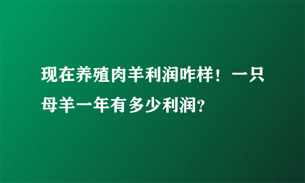 现在养殖肉羊利润咋样！一只母羊一年有多少利润？