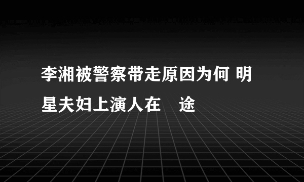 李湘被警察带走原因为何 明星夫妇上演人在囧途