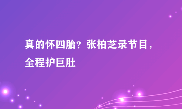 真的怀四胎？张柏芝录节目，全程护巨肚