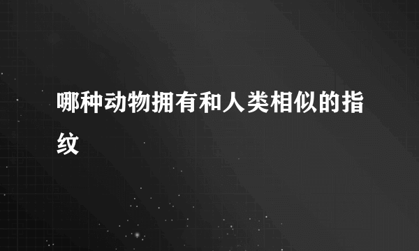 哪种动物拥有和人类相似的指纹