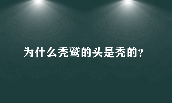 为什么秃鹫的头是秃的？