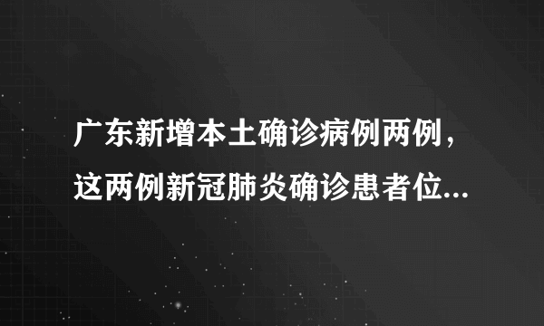 广东新增本土确诊病例两例，这两例新冠肺炎确诊患者位于广东何处？