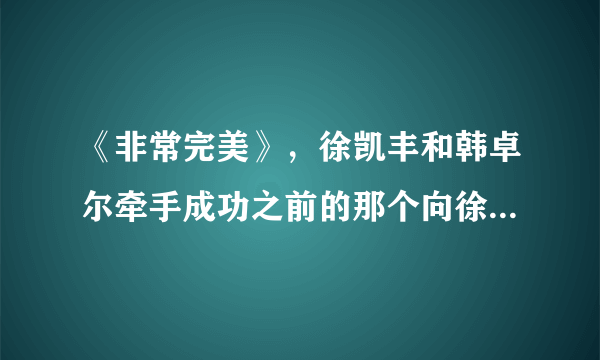 《非常完美》，徐凯丰和韩卓尔牵手成功之前的那个向徐凯丰告白的高个子南方美女叫什么名字？