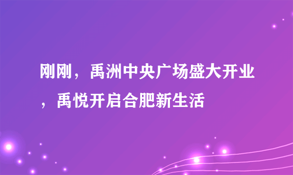 刚刚，禹洲中央广场盛大开业，禹悦开启合肥新生活