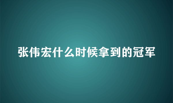 张伟宏什么时候拿到的冠军