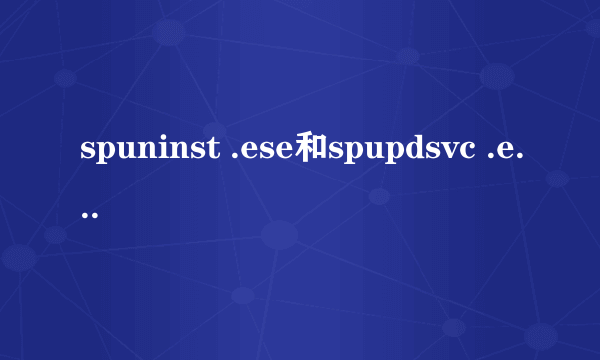 spuninst .ese和spupdsvc .exe分别什么意思啊？