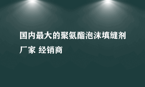 国内最大的聚氨酯泡沫填缝剂厂家 经销商