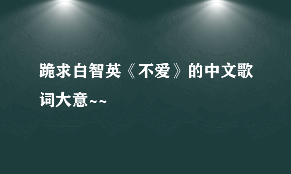 跪求白智英《不爱》的中文歌词大意~~