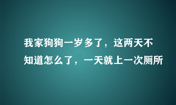 我家狗狗一岁多了，这两天不知道怎么了，一天就上一次厕所