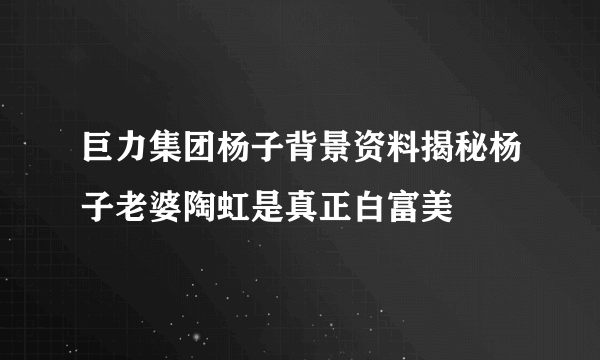 巨力集团杨子背景资料揭秘杨子老婆陶虹是真正白富美