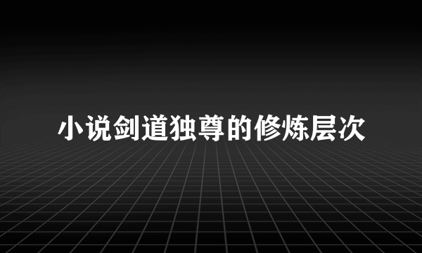 小说剑道独尊的修炼层次