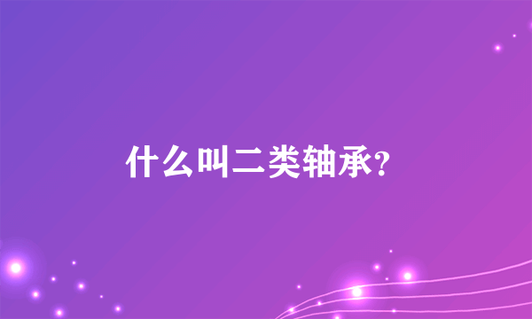 什么叫二类轴承？