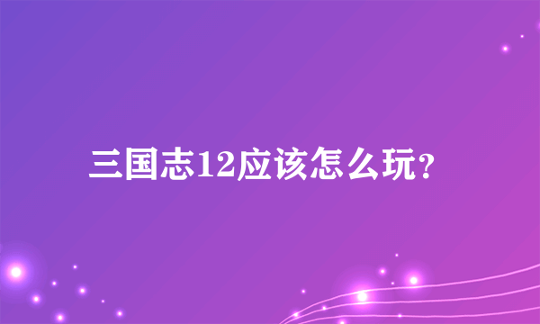 三国志12应该怎么玩？