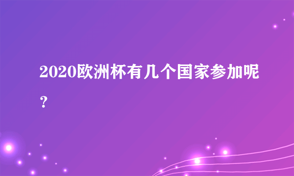 2020欧洲杯有几个国家参加呢？