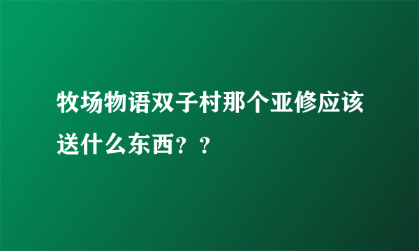 牧场物语双子村那个亚修应该送什么东西？？