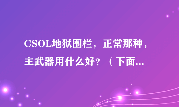 CSOL地狱围栏，正常那种，主武器用什么好？（下面提到的）