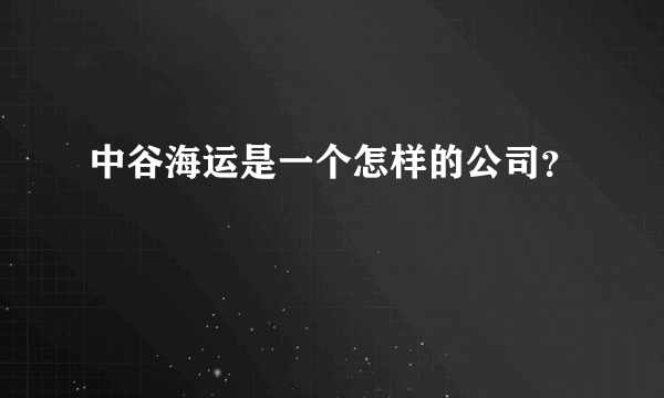 中谷海运是一个怎样的公司？