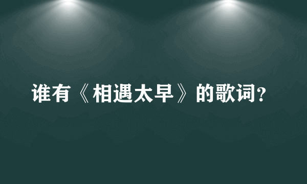 谁有《相遇太早》的歌词？