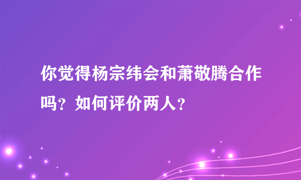 你觉得杨宗纬会和萧敬腾合作吗？如何评价两人？