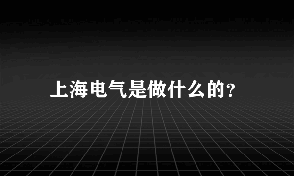 上海电气是做什么的？