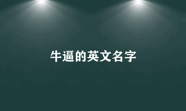 牛逼的英文名字