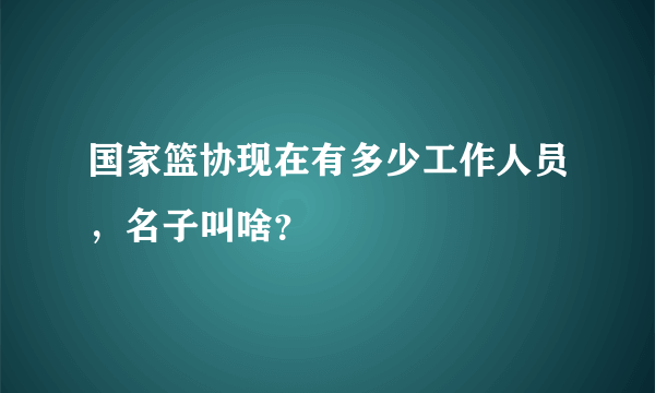 国家篮协现在有多少工作人员，名子叫啥？