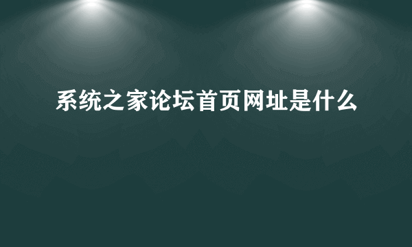 系统之家论坛首页网址是什么