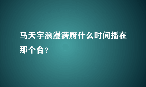 马天宇浪漫满厨什么时间播在那个台？