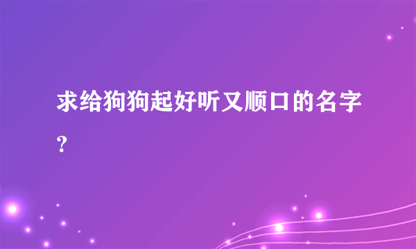 求给狗狗起好听又顺口的名字？