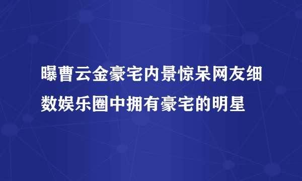 曝曹云金豪宅内景惊呆网友细数娱乐圈中拥有豪宅的明星