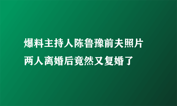 爆料主持人陈鲁豫前夫照片 两人离婚后竟然又复婚了