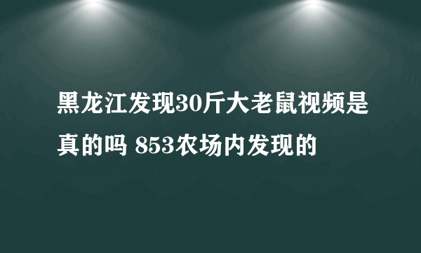 黑龙江发现30斤大老鼠视频是真的吗 853农场内发现的