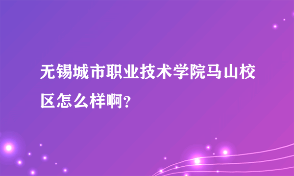 无锡城市职业技术学院马山校区怎么样啊？