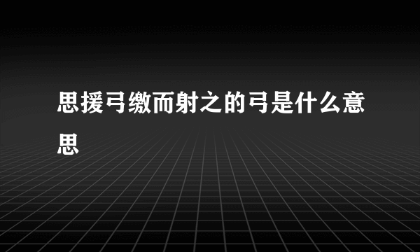 思援弓缴而射之的弓是什么意思