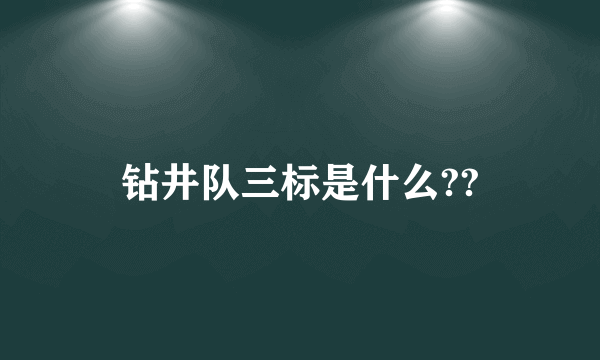 钻井队三标是什么??