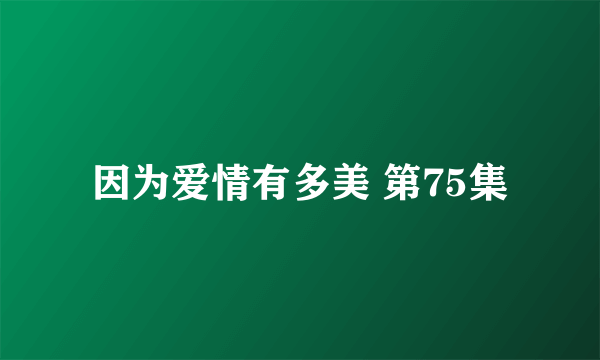 因为爱情有多美 第75集