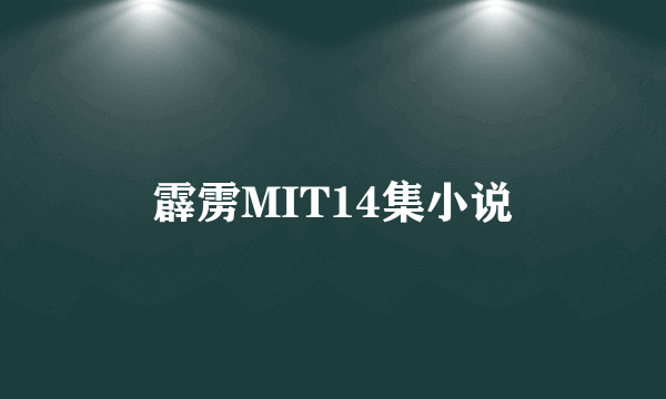 霹雳MIT14集小说