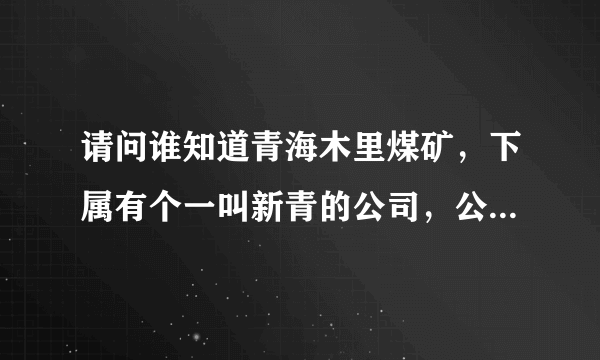 请问谁知道青海木里煤矿，下属有个一叫新青的公司，公司情况如何？谢谢