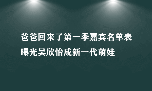 爸爸回来了第一季嘉宾名单表曝光吴欣怡成新一代萌娃