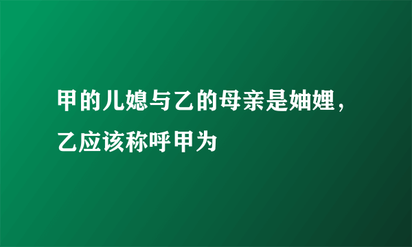 甲的儿媳与乙的母亲是妯娌，乙应该称呼甲为