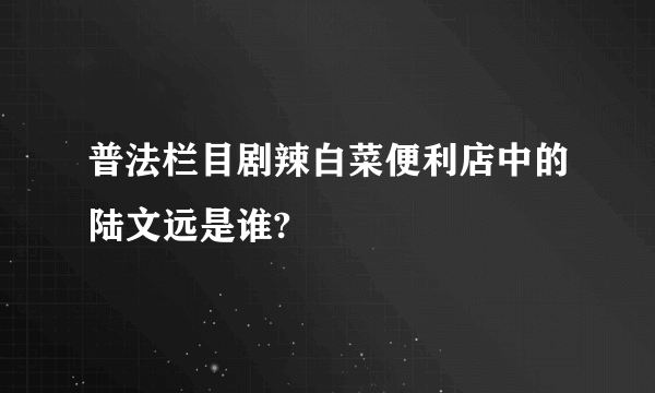 普法栏目剧辣白菜便利店中的陆文远是谁?